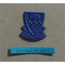 85th Infantry Regiment Attachment for Wall Plaques