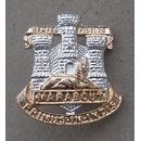 The Devon & Dorset Regiment Kragenabzeichen