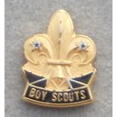 Boy Scouts Pin, small