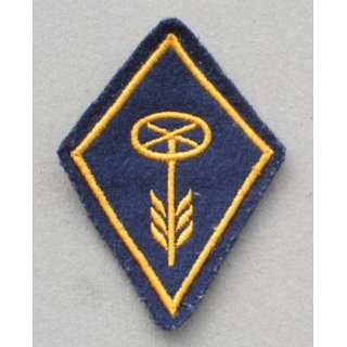 Air Force, Driver, Collar Patch